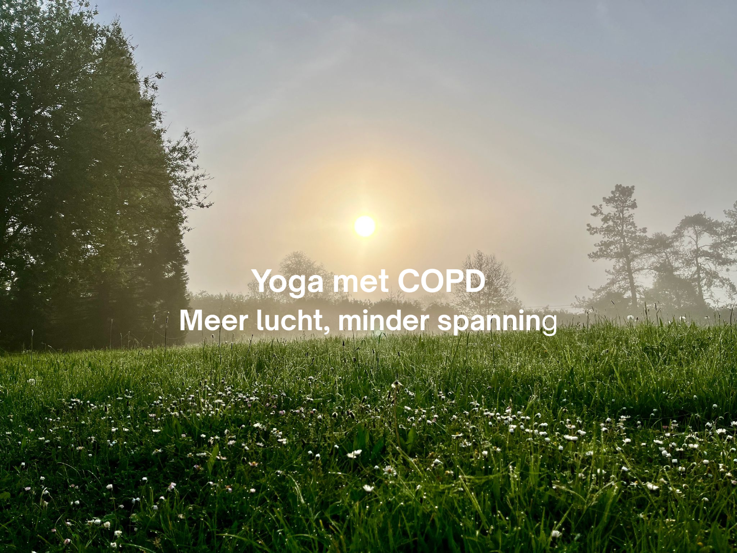 Video Poster Image