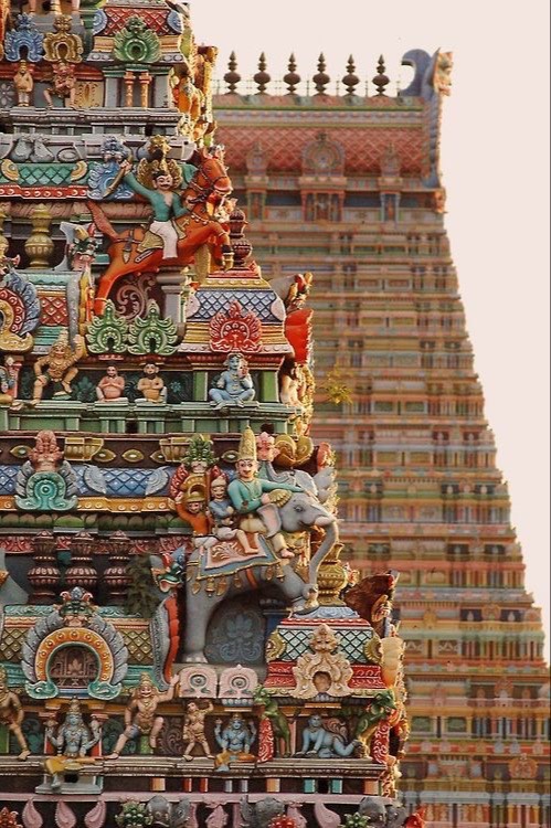 Douceur Power Kerala 2 - photo 6