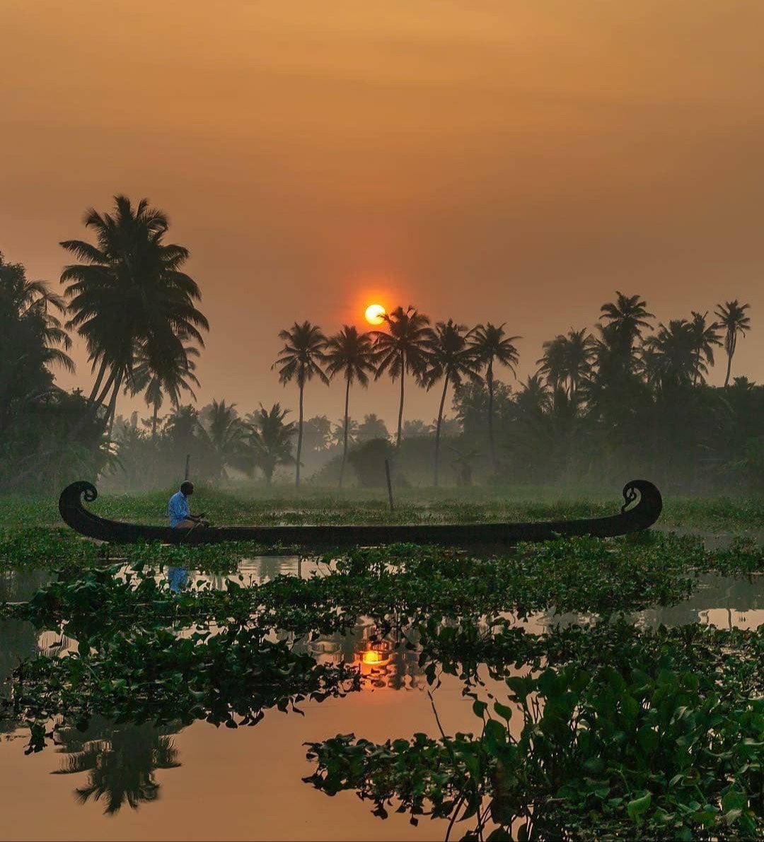 Douceur Power Kerala 2 - photo 8