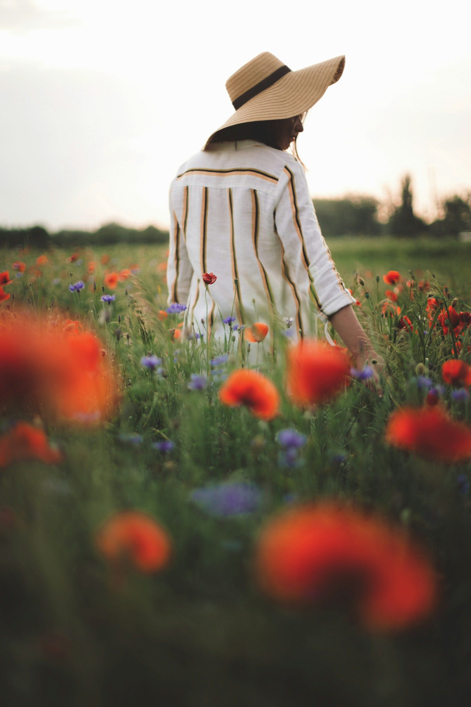 Woman walking in wildflower meadow, symbolising mindfulness, calm and personal growth - Retrained Minds Hypnotherapy.