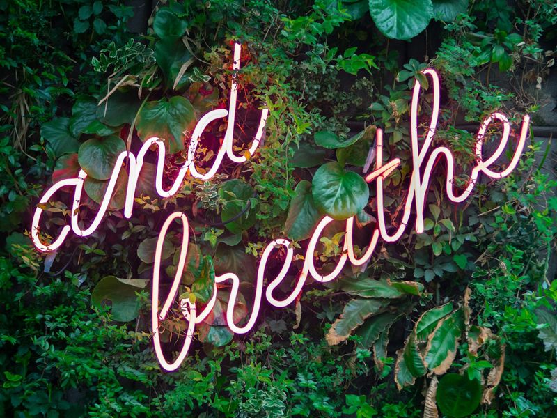 Pink neon sign reading ‘and breathe’ surrounded by calming green leaves, symbolising gentle relief, relaxation, and letting go of pain through mindful hypnotherapy.
