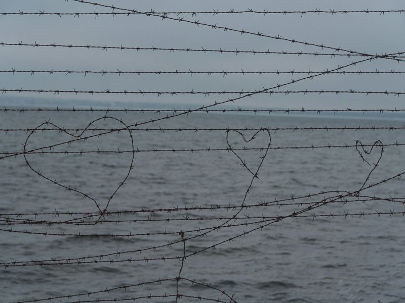 Hearts made on the barbed wire against a calm sea, symbolising love, pain, and the healing of emotional barriers in relationships.