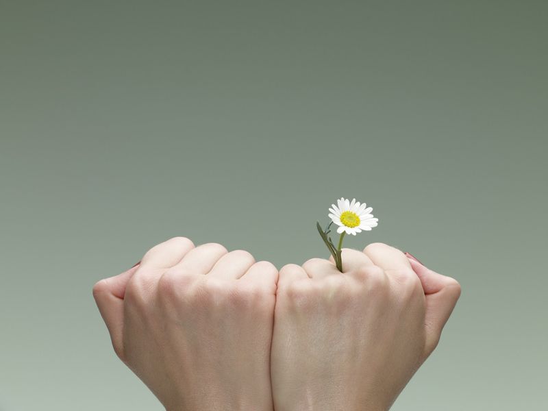 Two gently cupped hands holding a small white flower, symbolising care, healing, and personal growth in relationships and self-worth.
