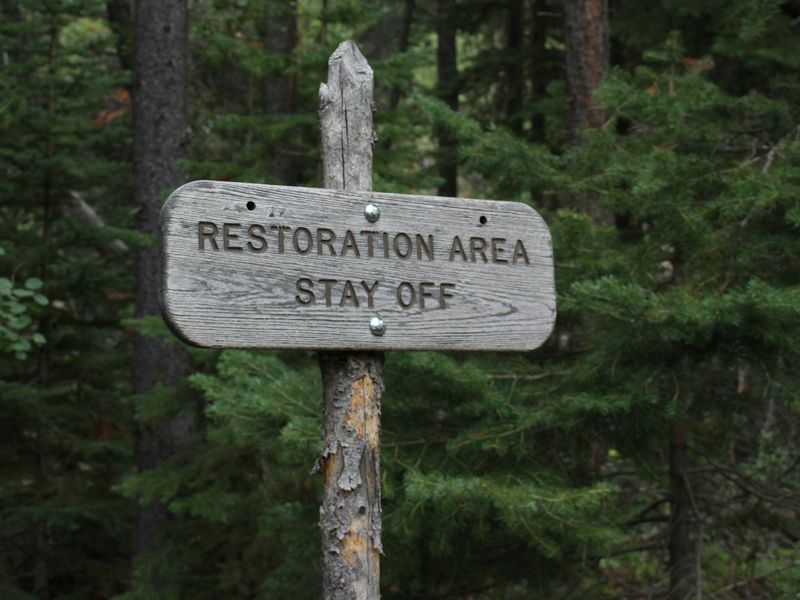 Wooden sign reading ‘Restoration Area – Stay Off’ in a peaceful forest, symbolising rest, recovery, and inner calm.
