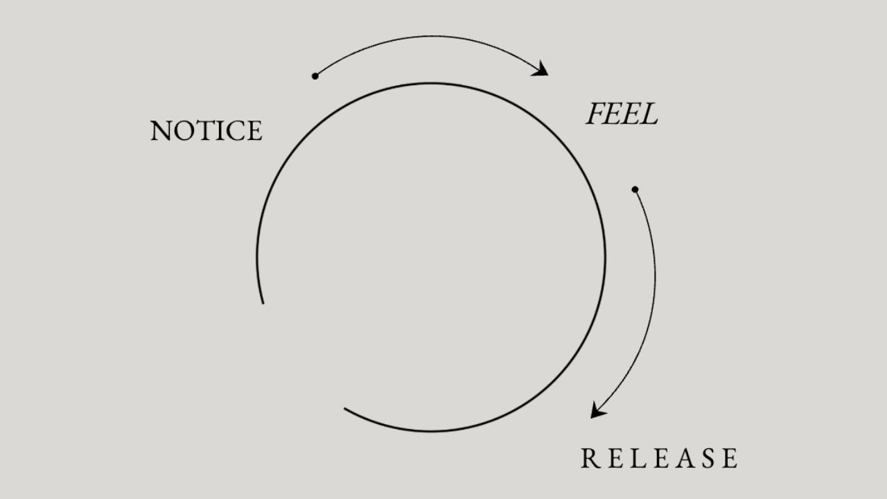 Notice - Feel - Release