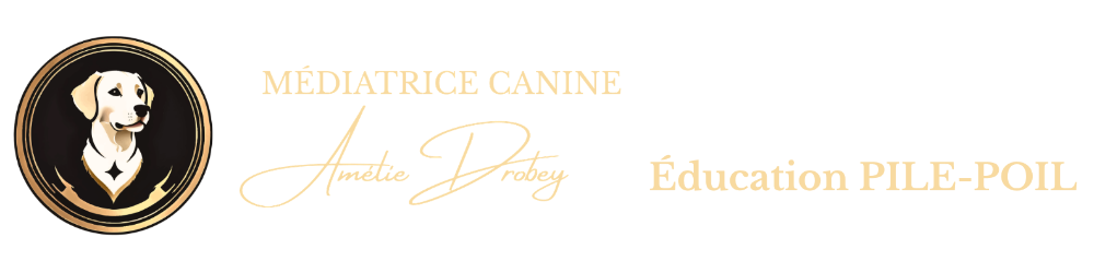 Amélie Drobey – Éducation pile poil