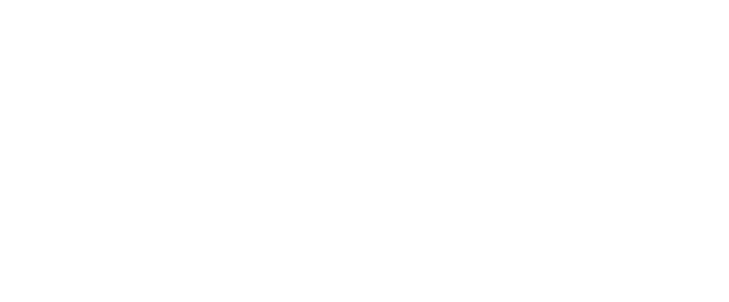VAZ Seguros