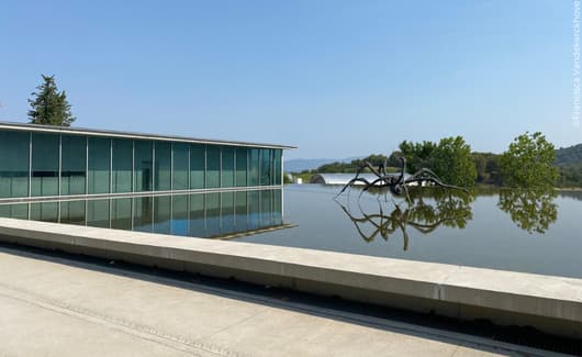 kunst, architectuur en natuur in Chateau La Coste