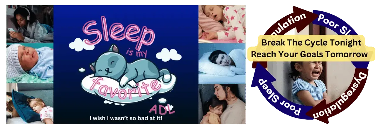 Image of sleep dysregulation cycle.