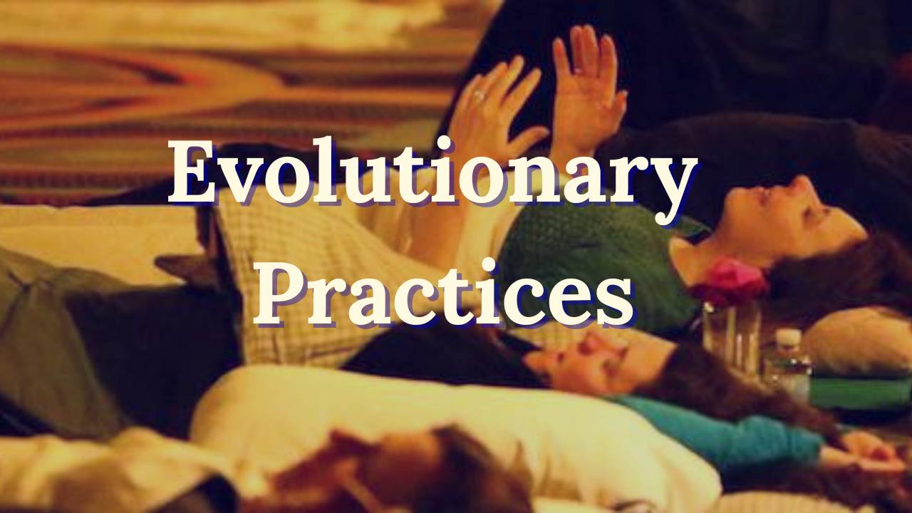 Evolutionary Practices