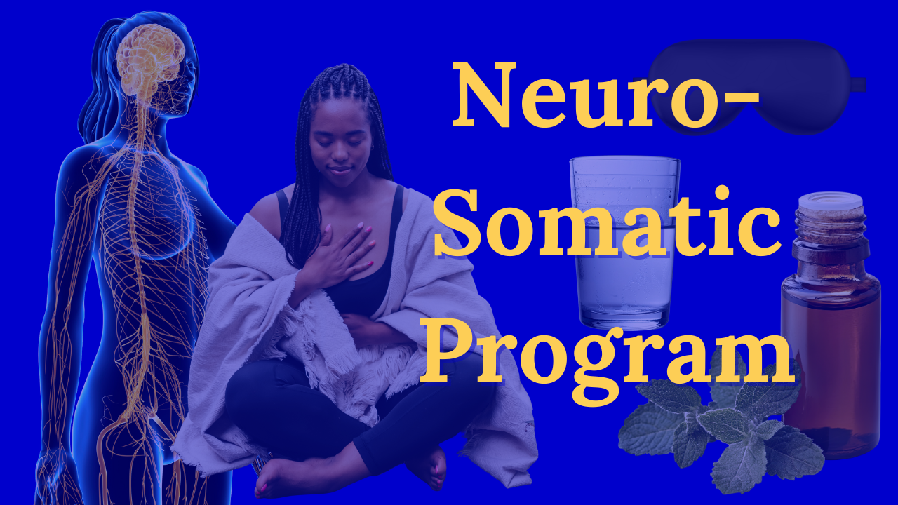 Neuro Somatic Program