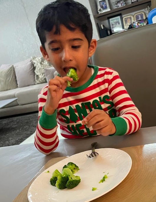 Toddler Nutrition Course