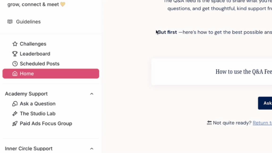 How to ask a question demo