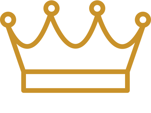 Authentic Power icon