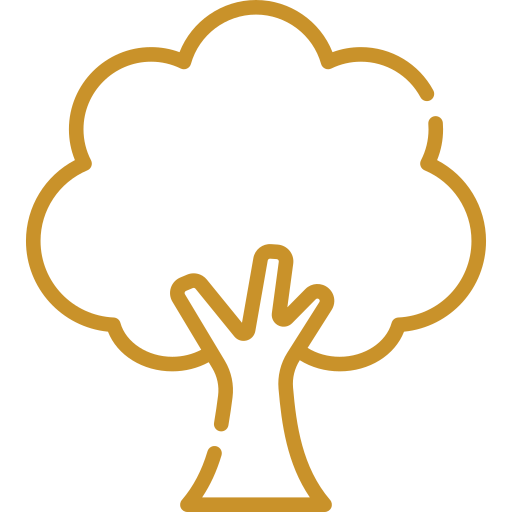 Ancestral Patterns icon