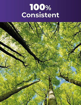 Proven_Results_Consistently_delivering_high_satisfaction