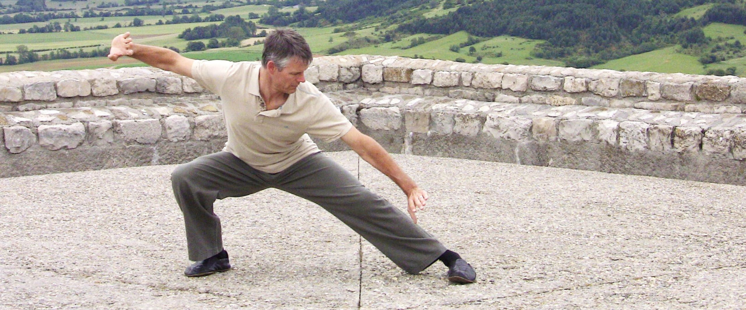 Paul Cavel Bagua Zhang Double Palm Change