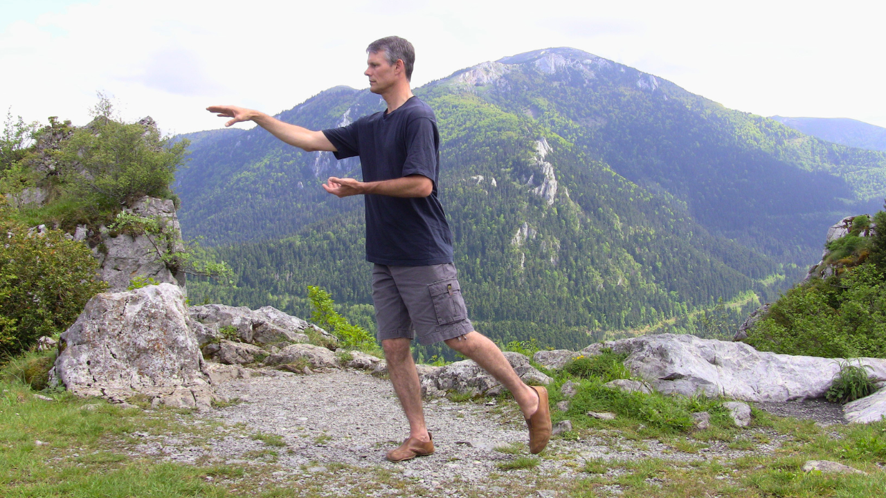 Dragon & Tiger Qigong in France