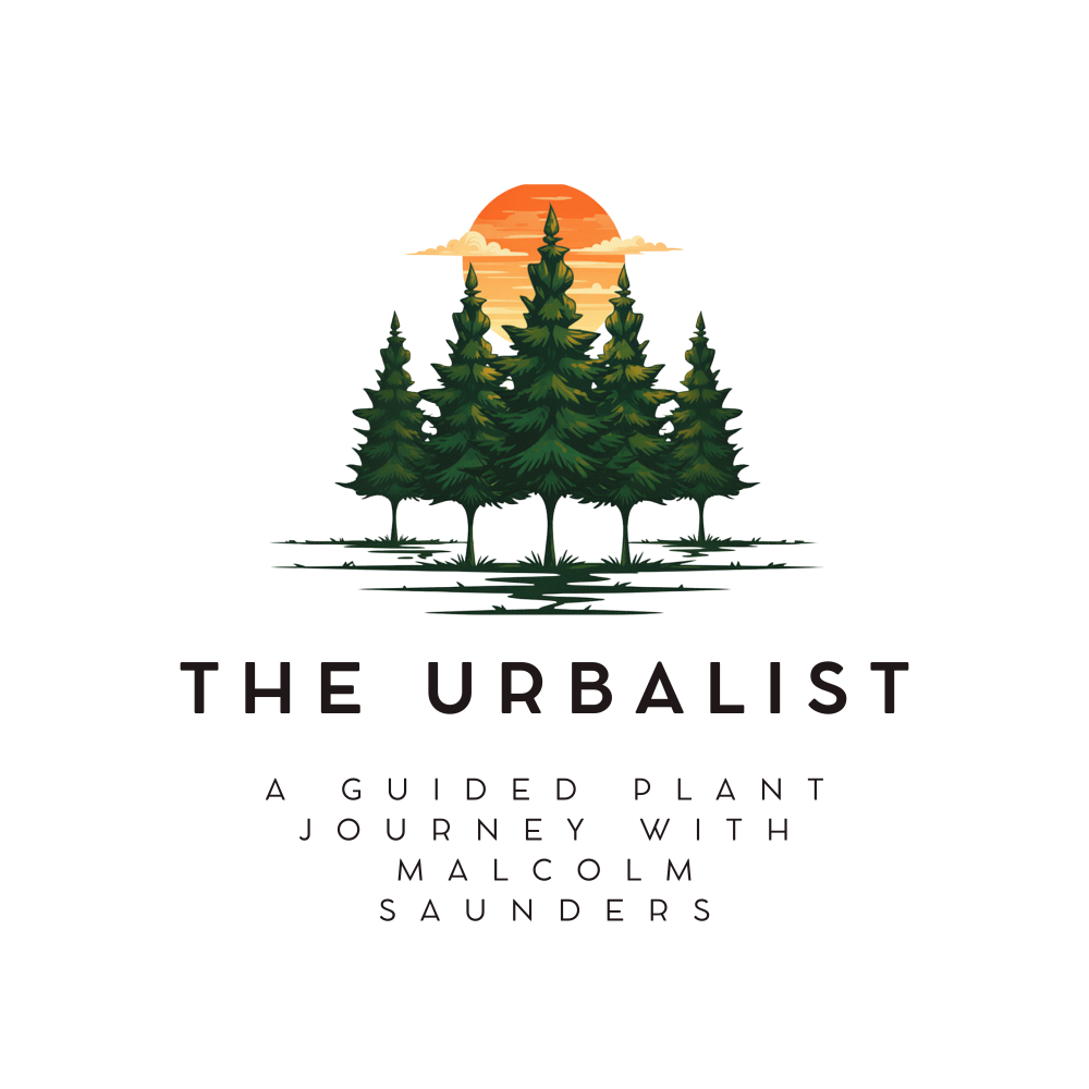 Header Logo