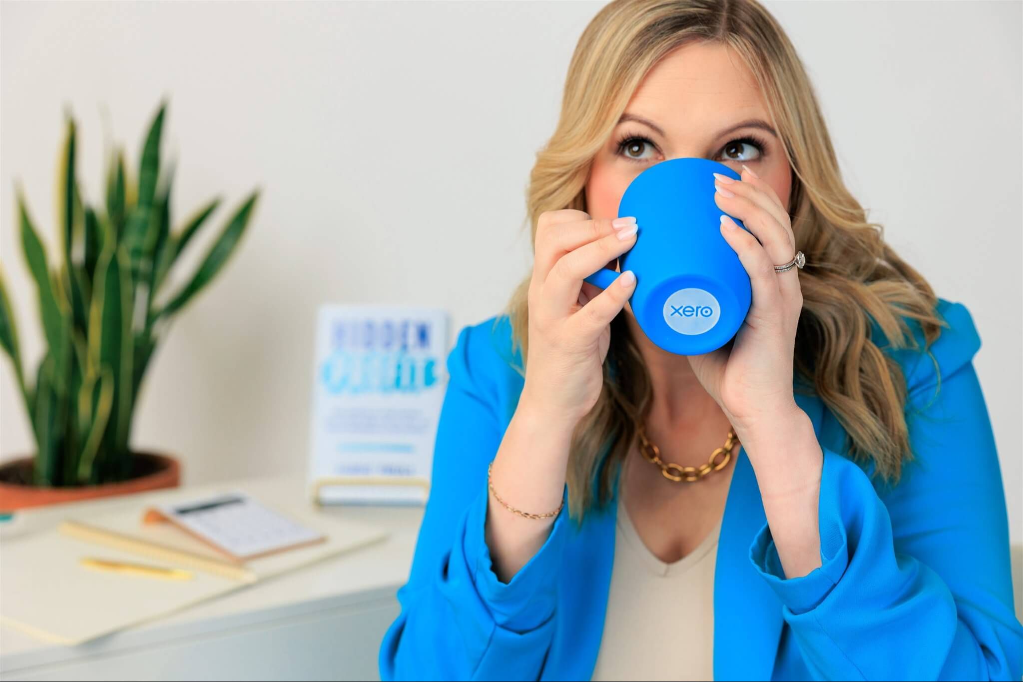 Reconcile bank transactions, inventory management, expense tracking