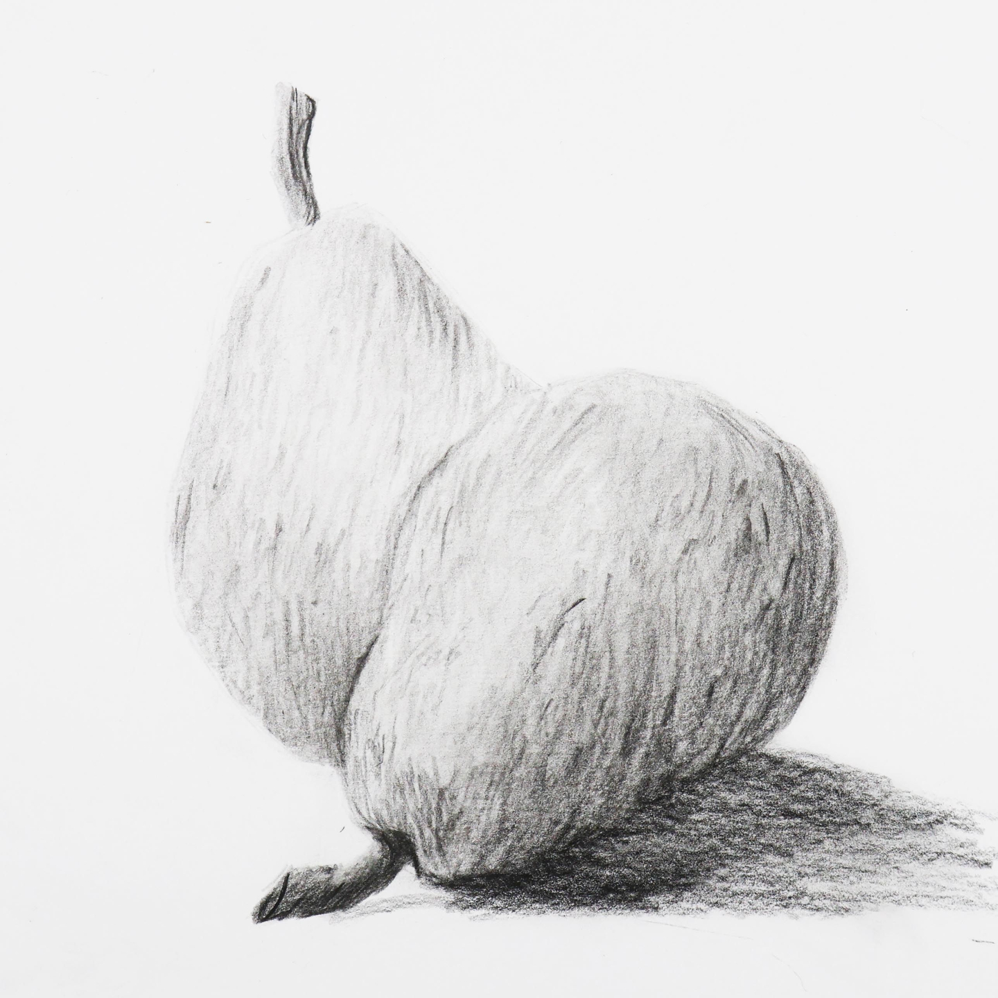 Cours de dessin réaliste en ligne pour débutantsA