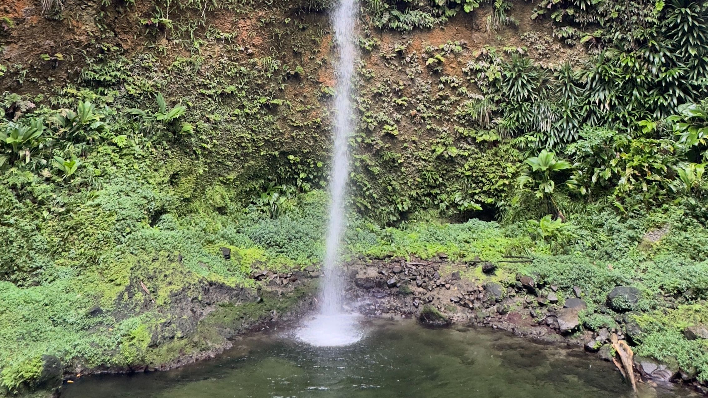 Dominica Cruise Port - Waterfall surrounded by tropical greenery near the Roseau Dominica cruise port