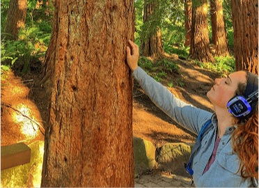 MindTravel SilentWalk. Stillness