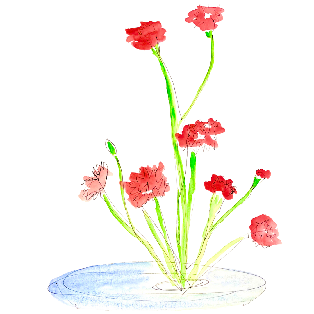 carnations