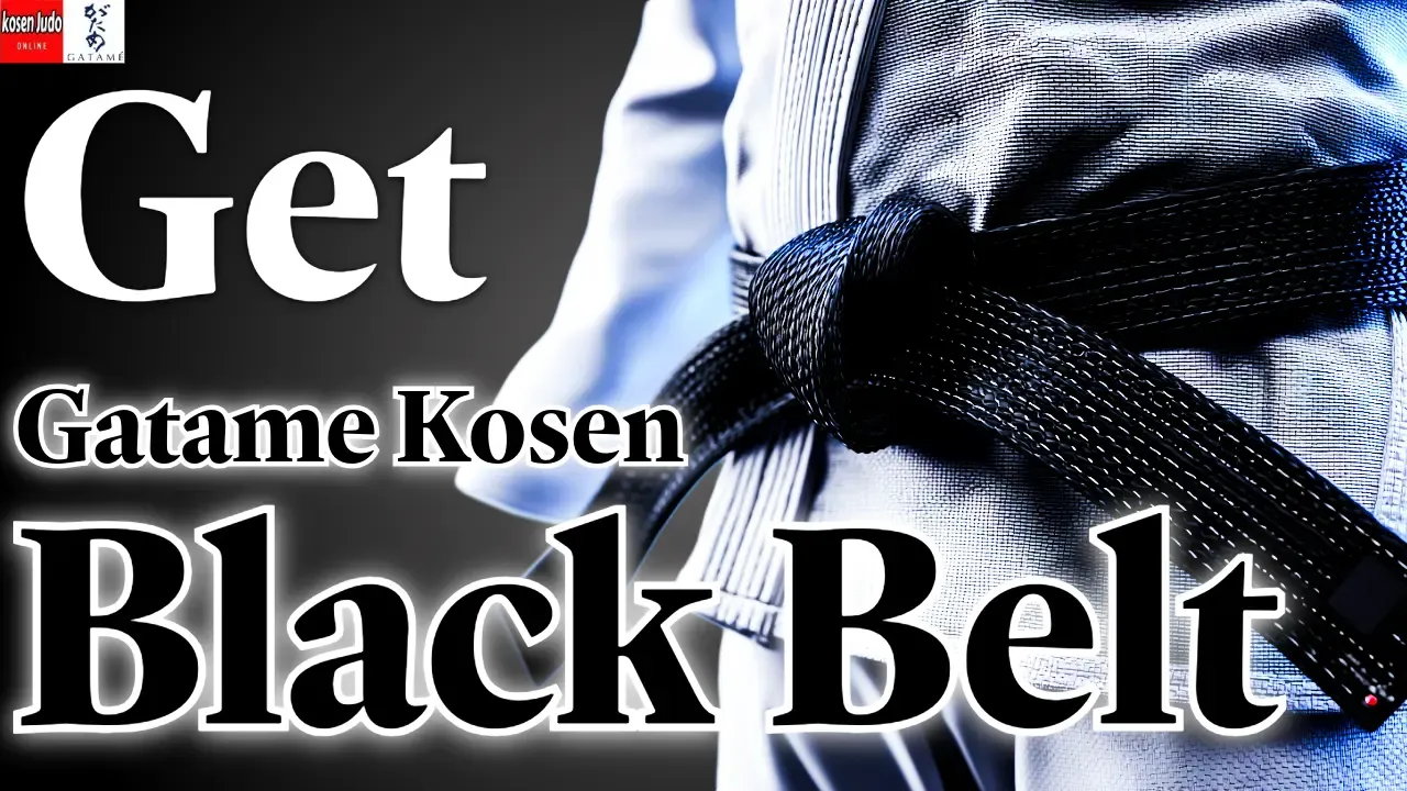 Black Belt System image