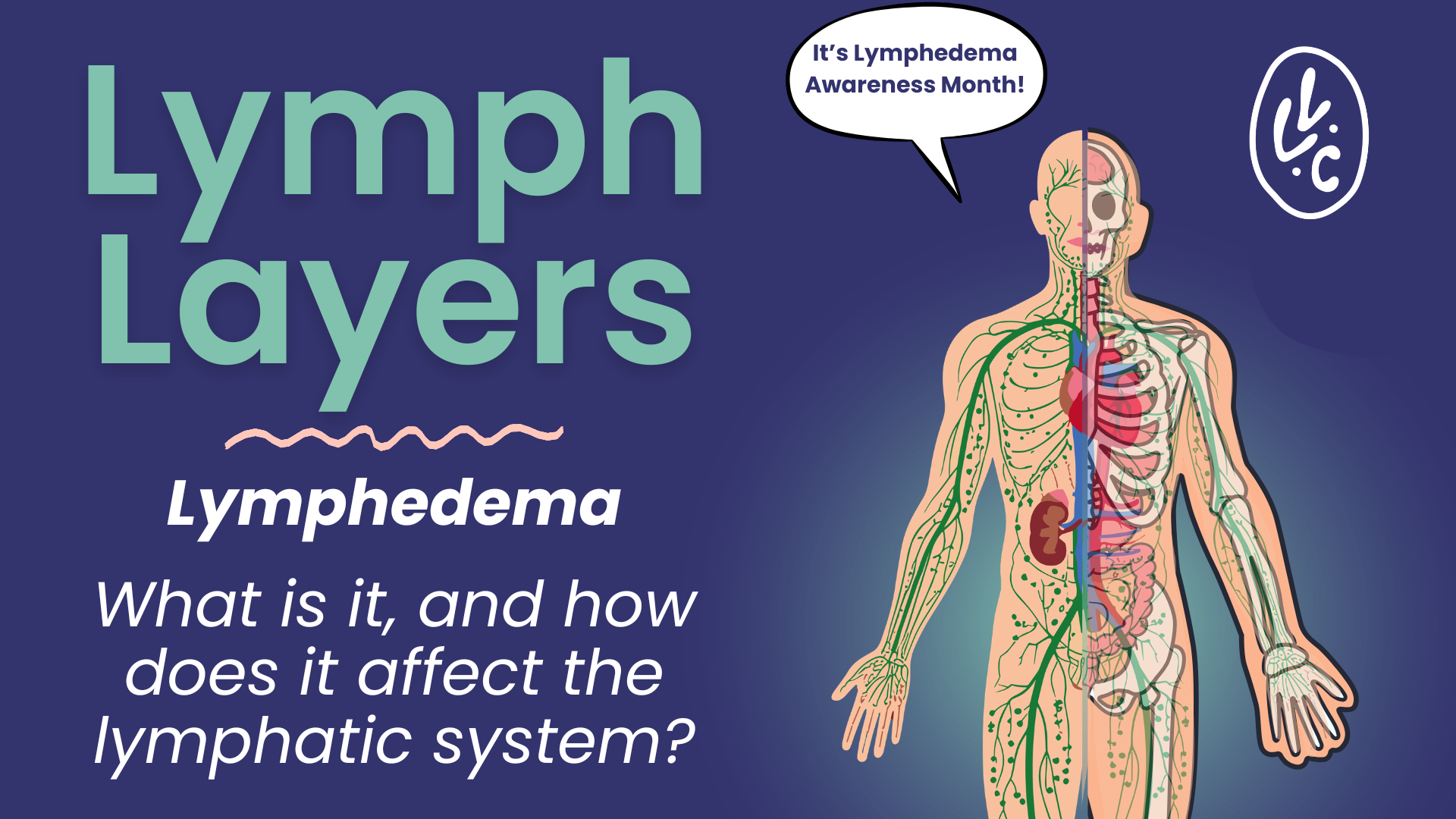 Lymph Layers | Lymphedema