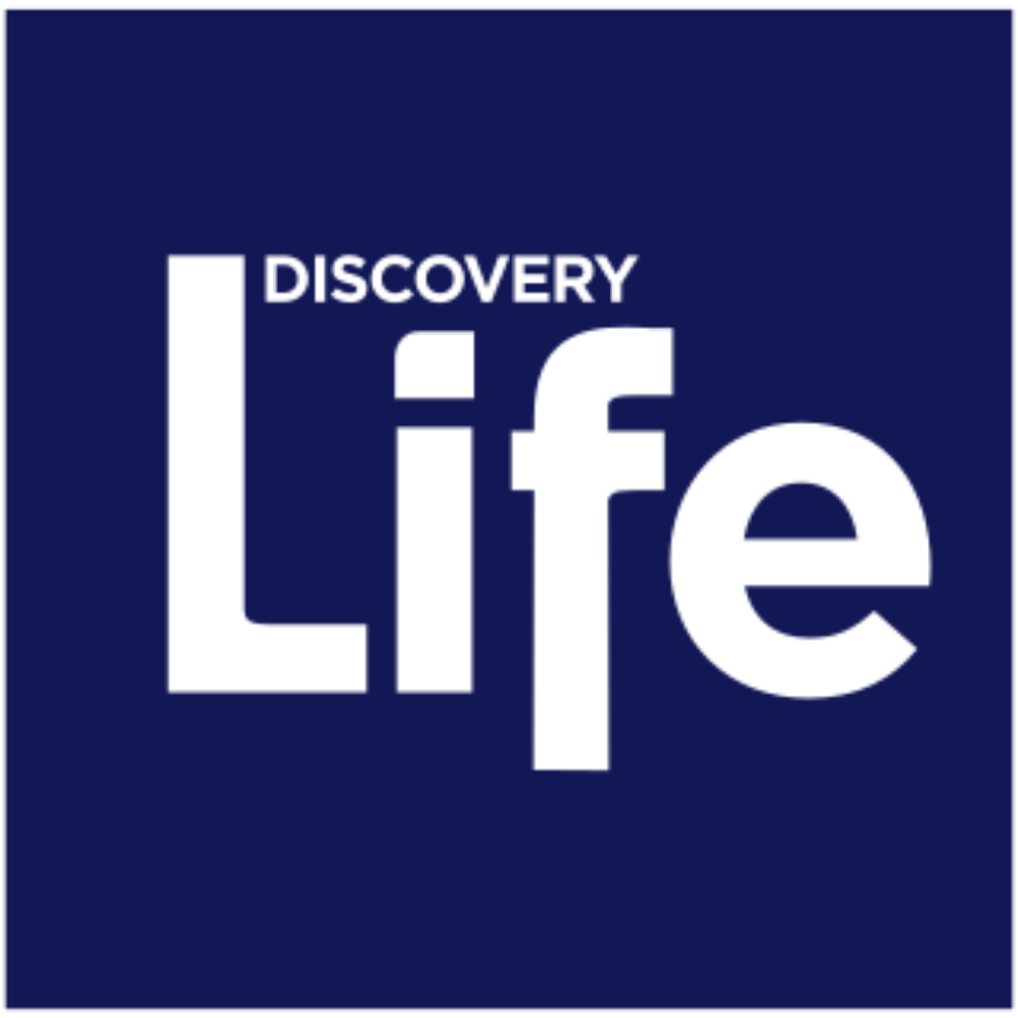Discovery