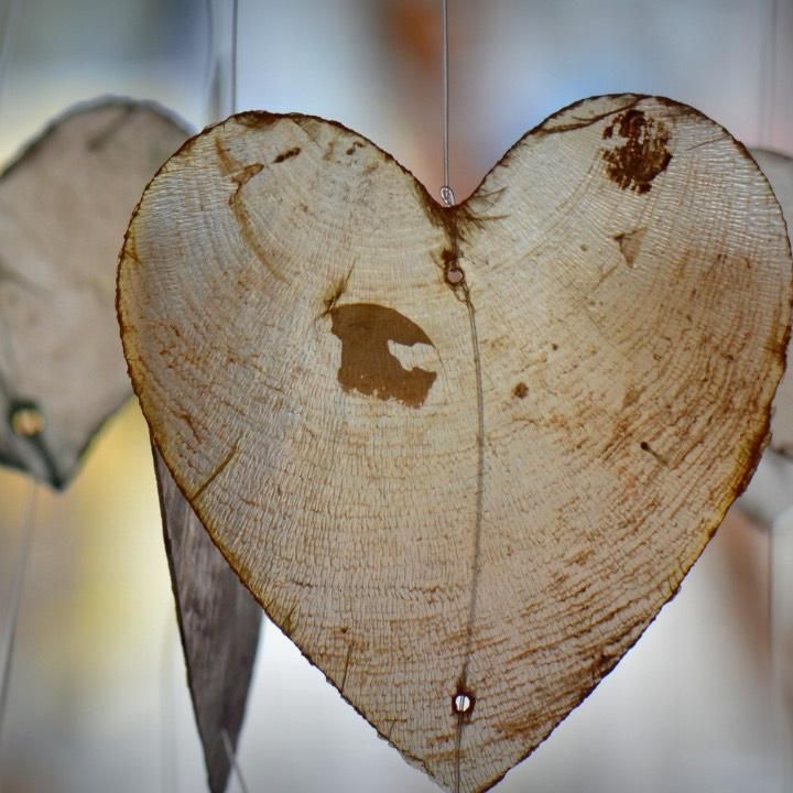 Maria Furlano meditating under tree (black and white image)