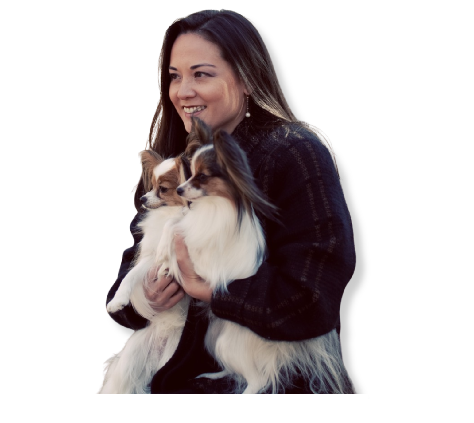 rofessional dog training program available online