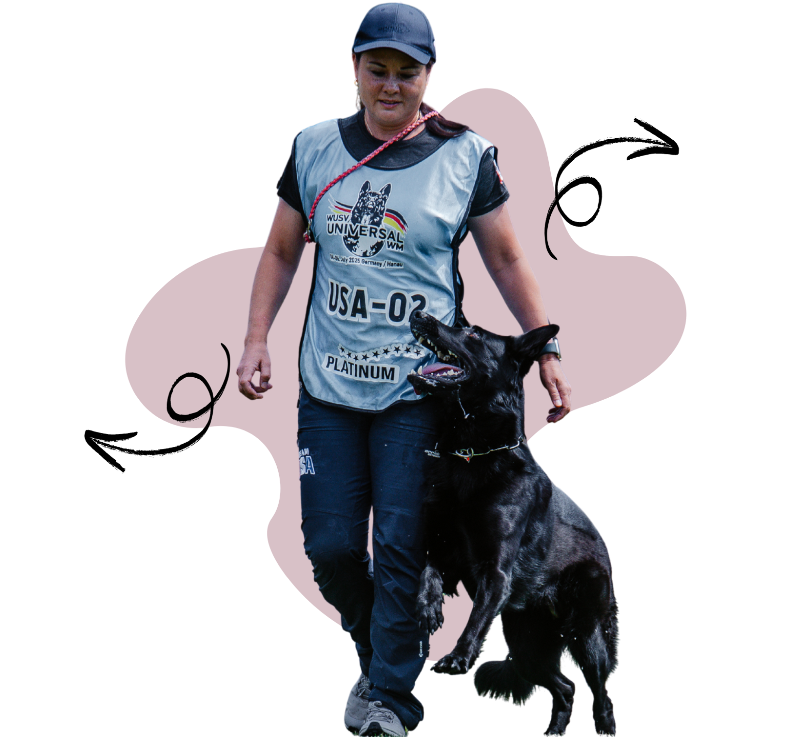 Easy-to-follow dog training course for busy owners