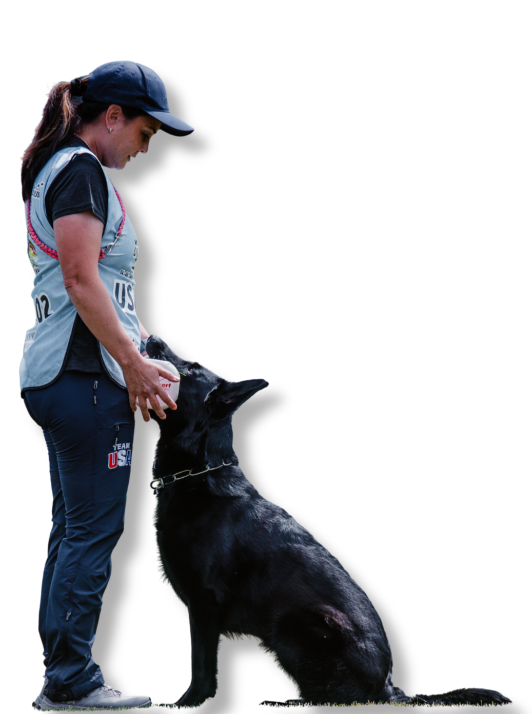 Self-paced online dog training for puppies and adults