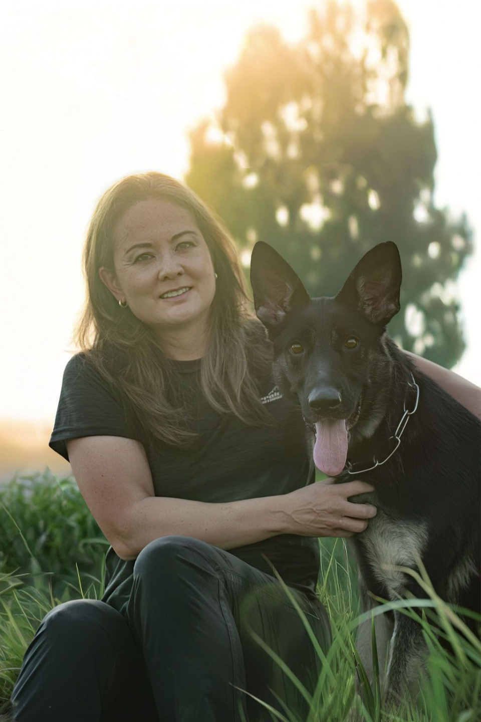 Dog training course online using positive reinforcement