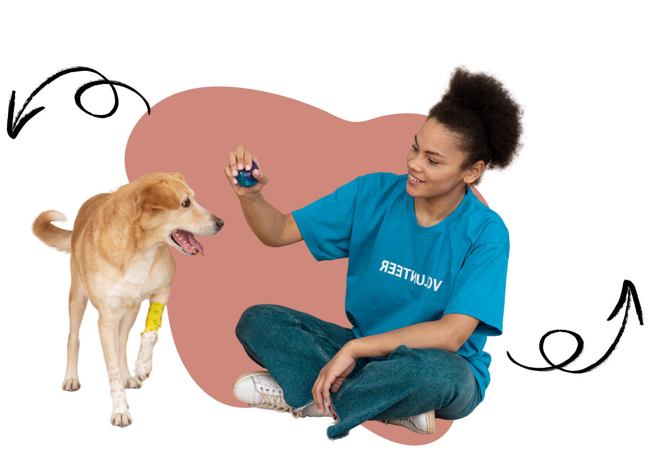 Virtual dog behavior training for reactive dogs