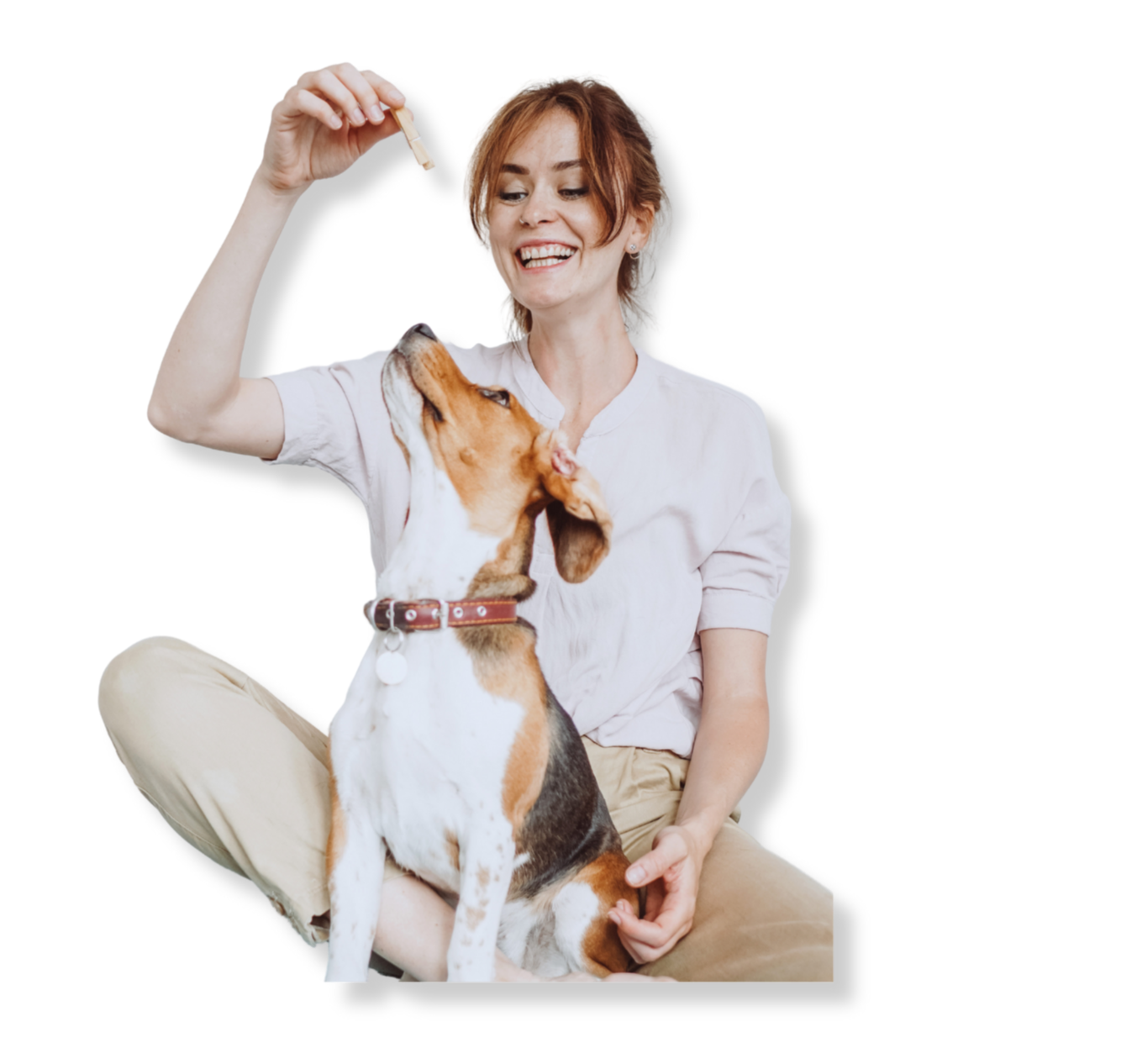 Dog training course online using positive reinforcement