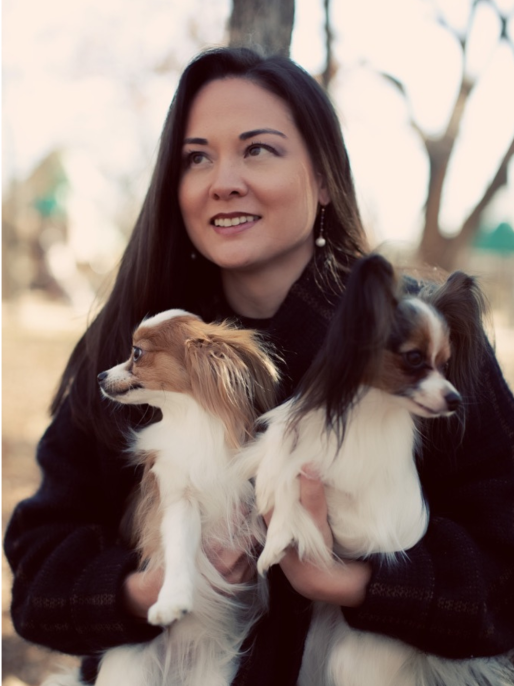 Dog training course online using positive reinforcement