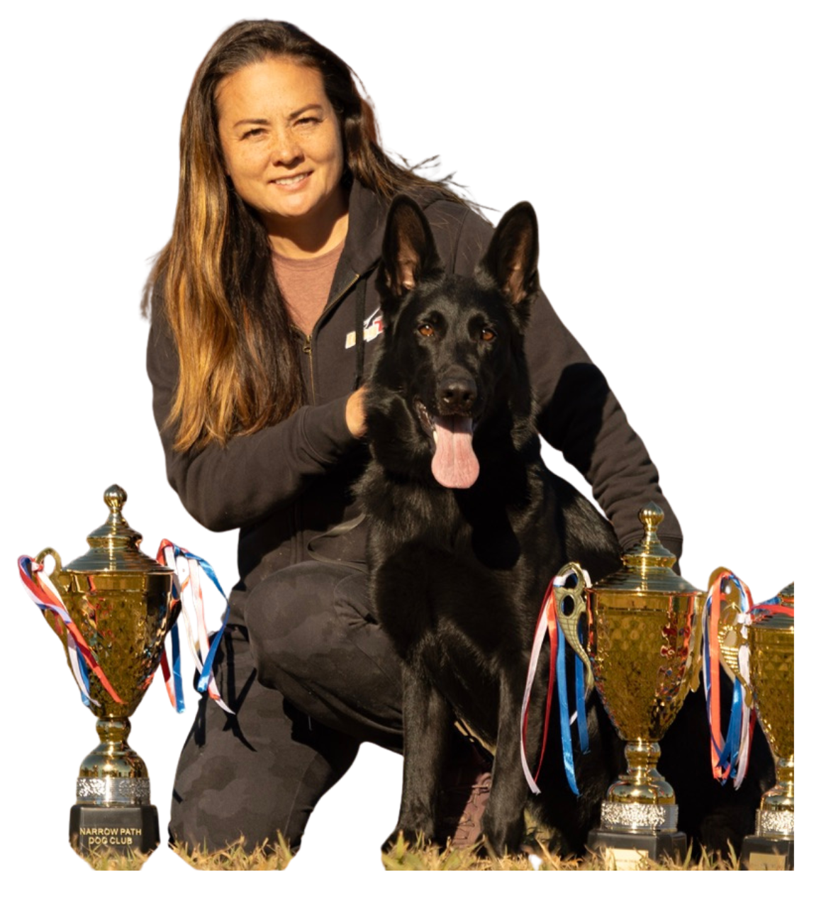 Learn dog training online with positive reinforcement methods