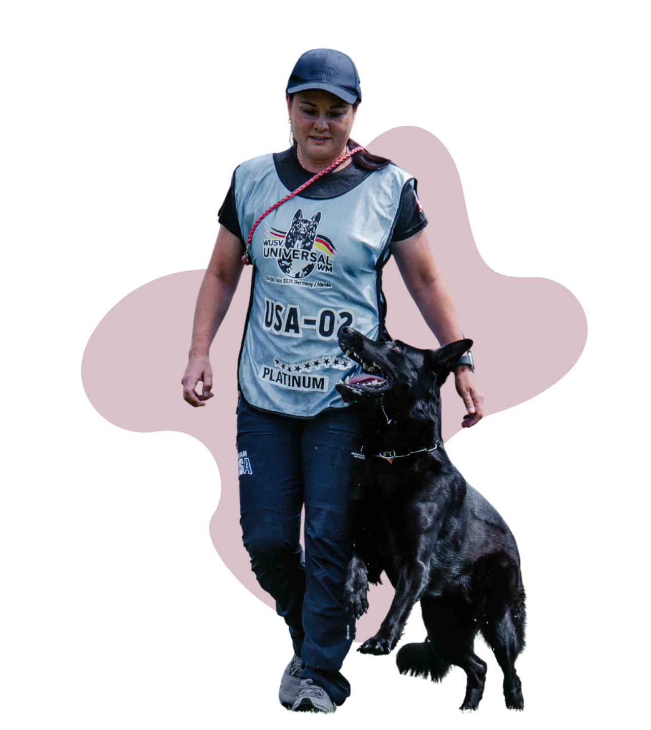 At-home dog training made simple through online lessons