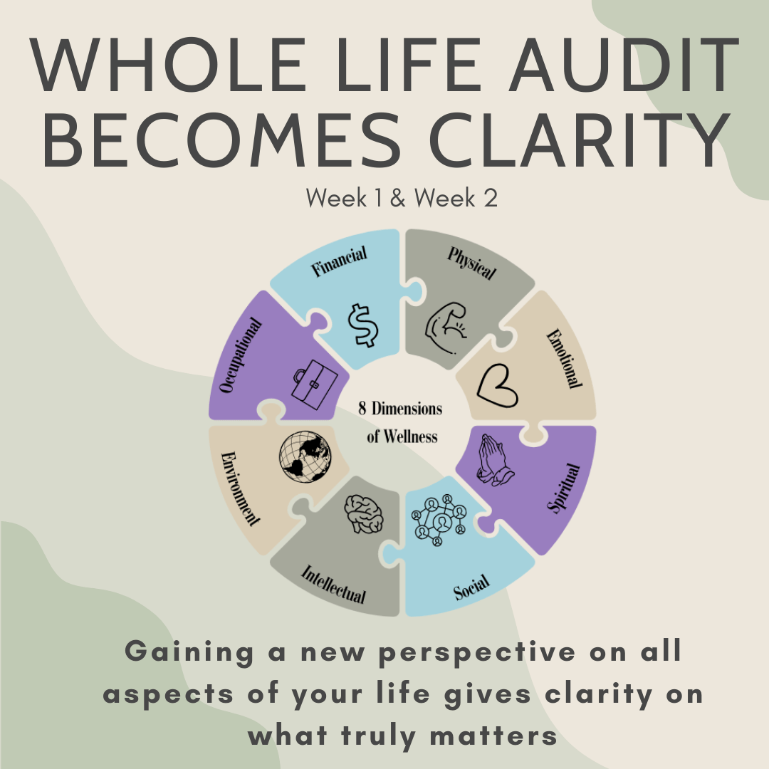 Weeks 1 & 2 of the Future Focused Coaching Intensive starts with a whole life audit that touches on all 8 dimensions of wellness