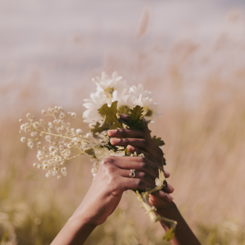 soft image of a hand holding a bouquet of flowers