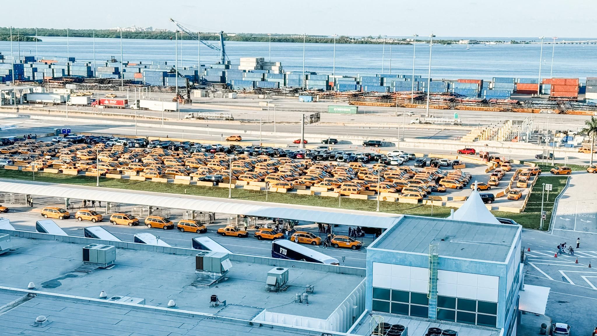 Miami cruise port: taxis lined up
