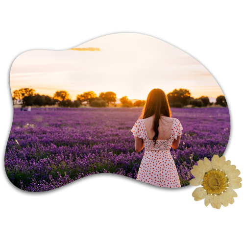 image of a woman facing a field of lavender flowers. Her back to the camera. 