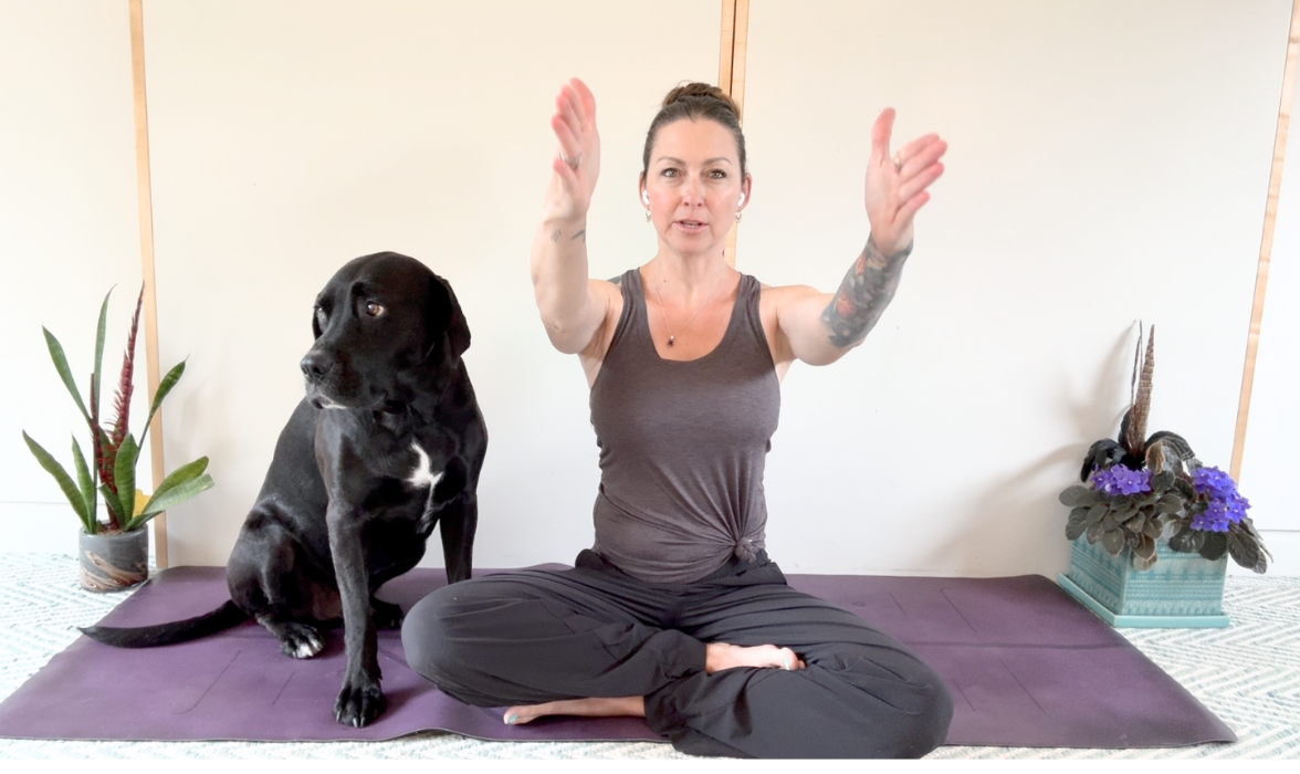 Sara Broome, NASM Certified Personal Trainer, leading a virtual personal training session from her yoga mat with rescue dog Ernesto beside her