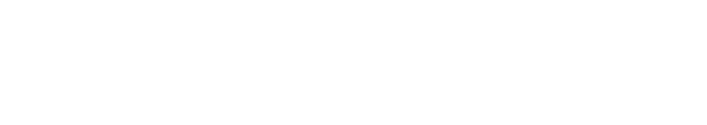 The Authentic Pastor