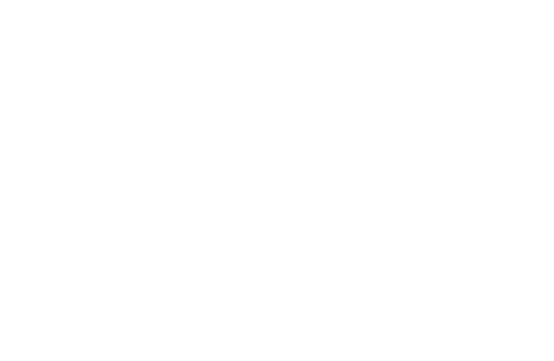 Private Practice Alliance Logo - Guiding Purpose driven clinicians to break free from the traditional narrative. 