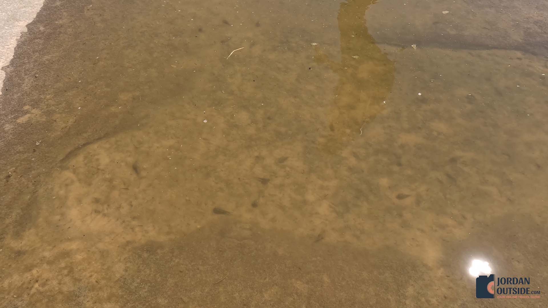 White Pocket, Arizona