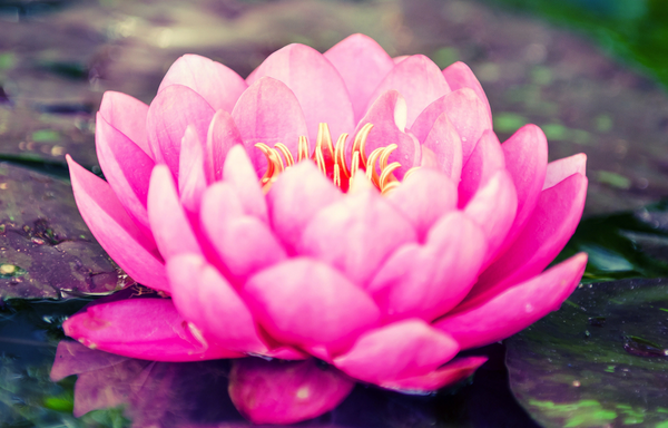 A woman smiles, closes her eyes and puts her arms out 